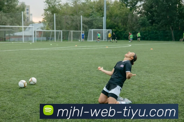 多媒体互动体验